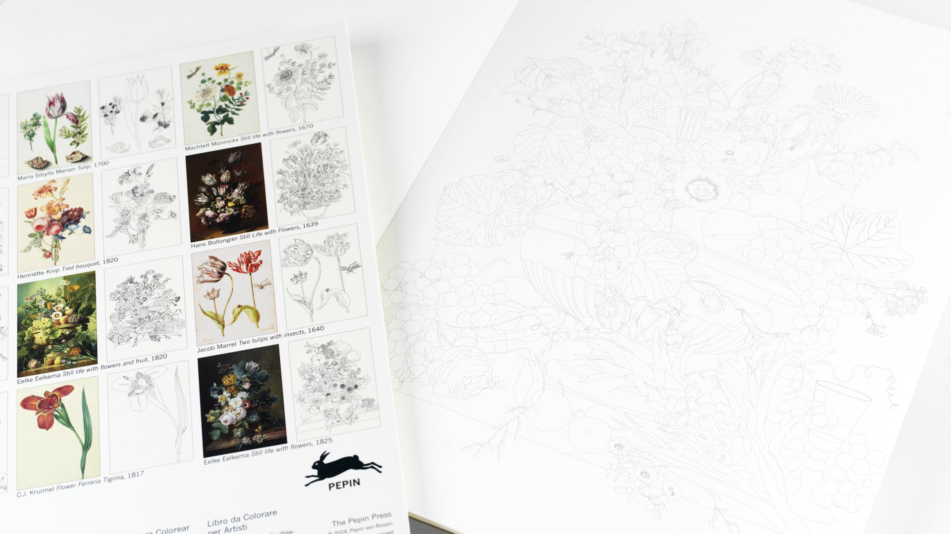 Artists’ Colouring Book - Floral Images