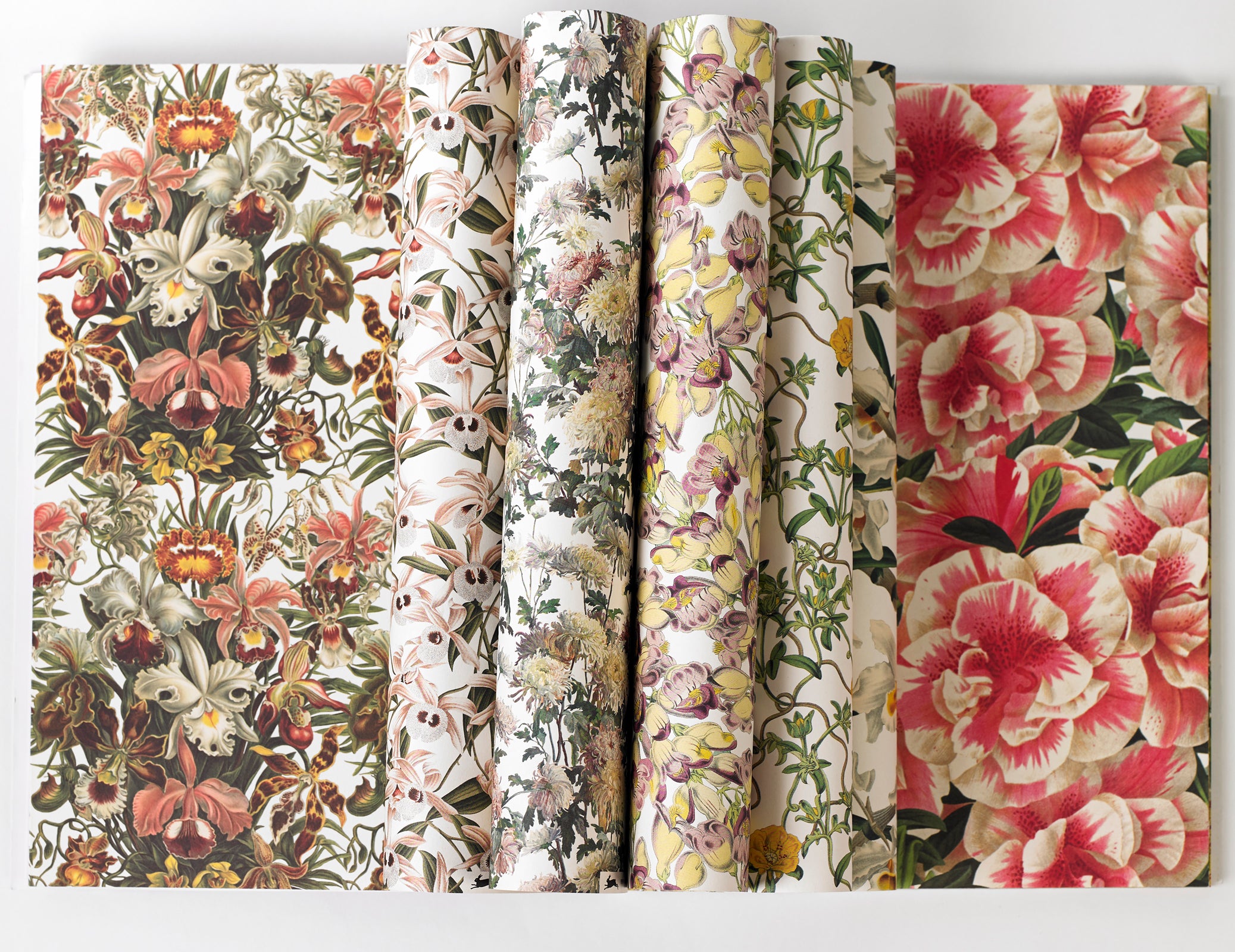 Gift & creative papers - Flower Prints