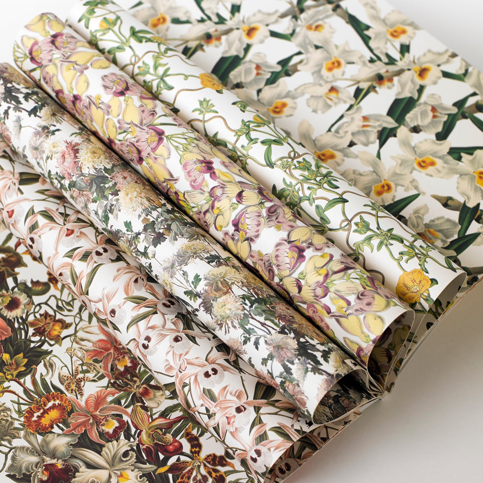 Gift & creative papers - Flower Prints