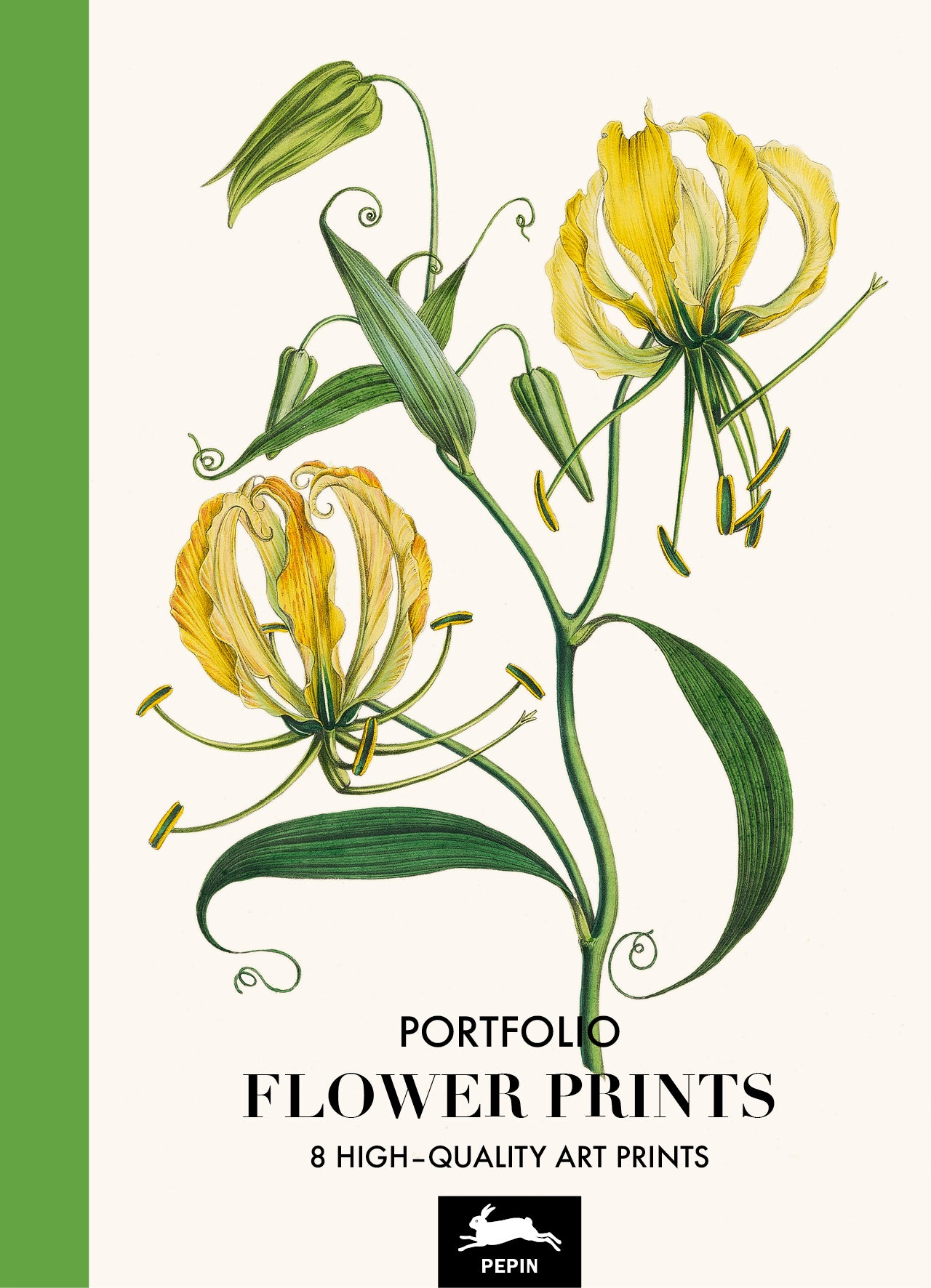 Art portfolios - Flower Prints