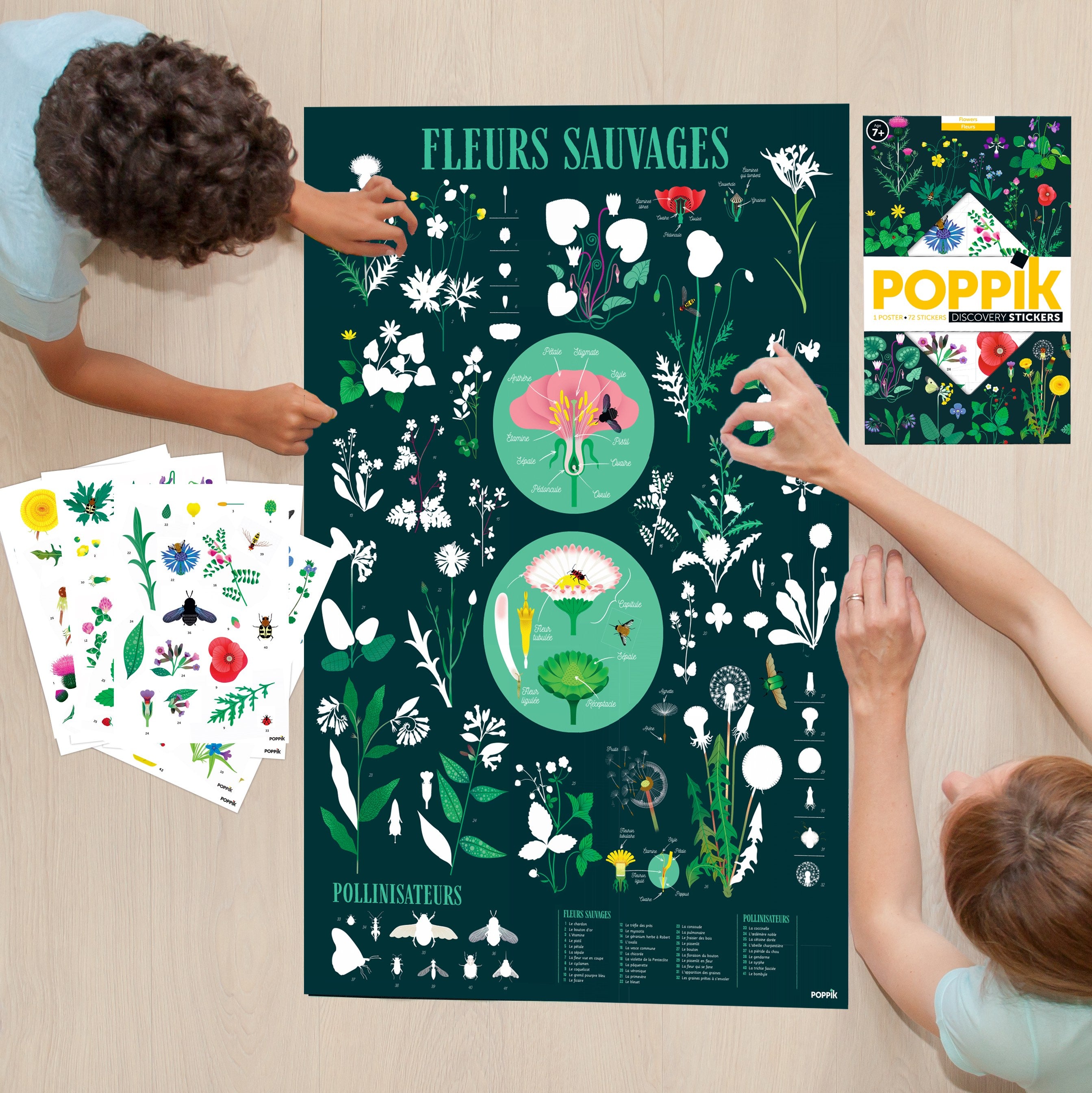 Large Poster with 72 stickers – Botanic