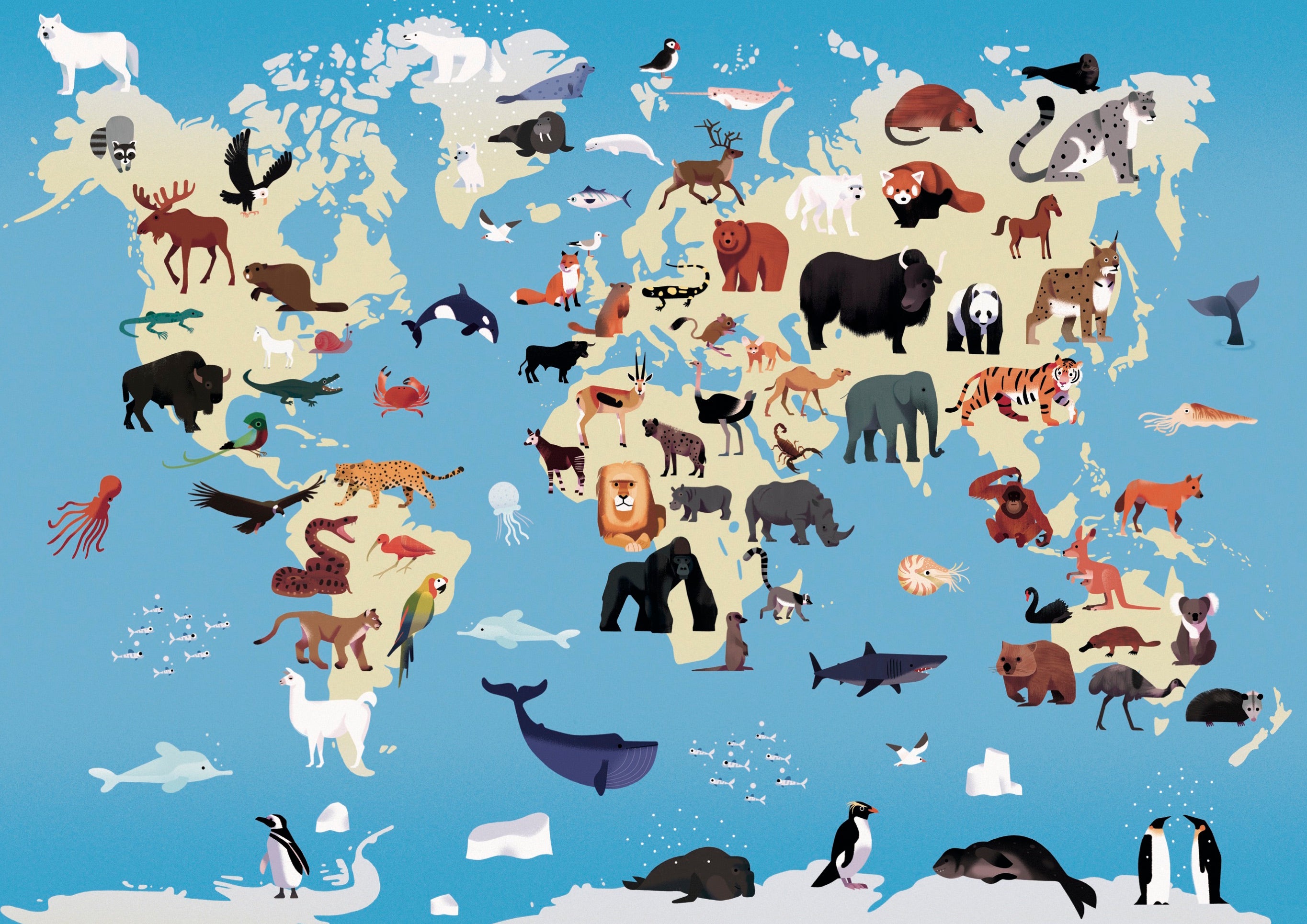 500 piece puzzle - Animals of the World 