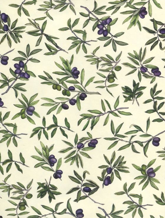 Luxury Paper - Olive Branches